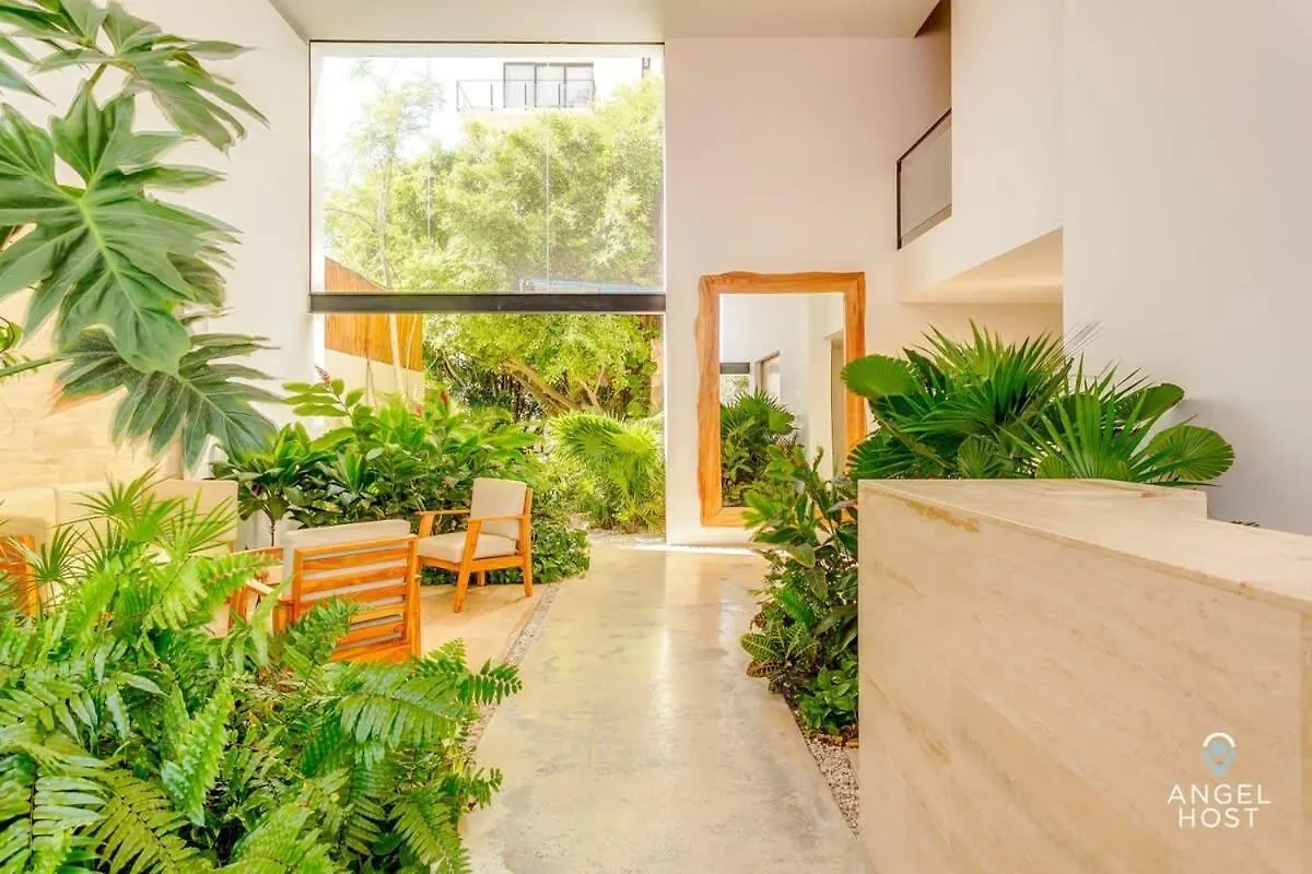 New Downtown Stay With Oceanview Roof Pool And Gym Plus Cafe Playa del Carmen