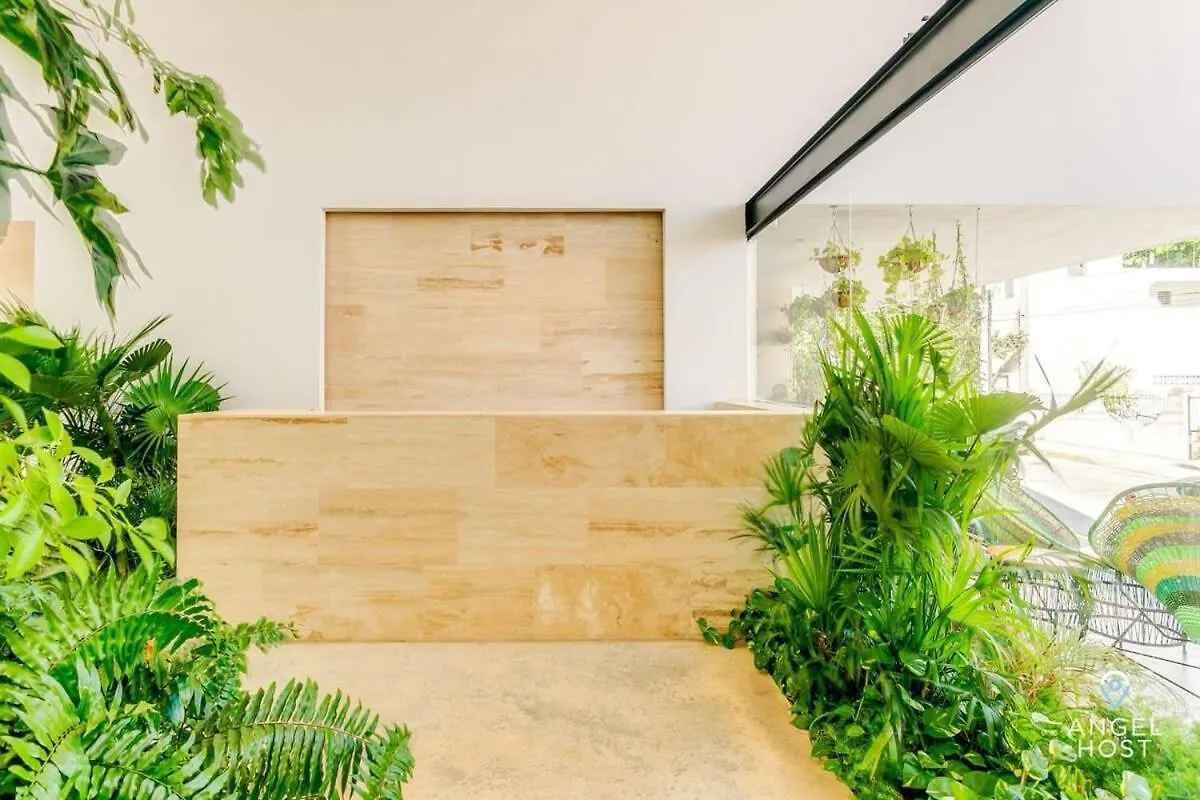 New Downtown Stay With Oceanview Roof Pool And Gym Plus Cafe Playa del Carmen 0*,